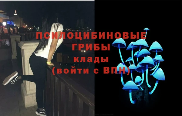 дурь Арсеньев