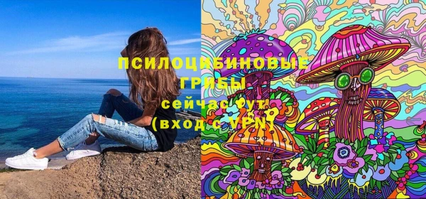 спайс Аркадак