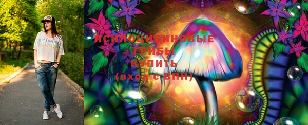 спайс Аркадак