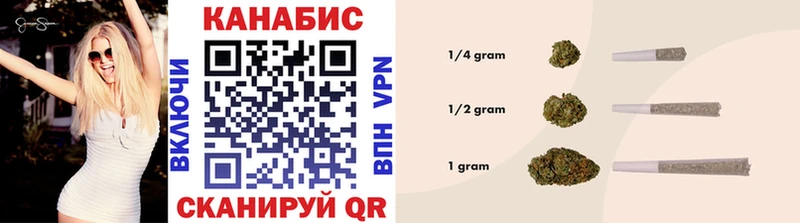 Канабис OG Kush Тайга